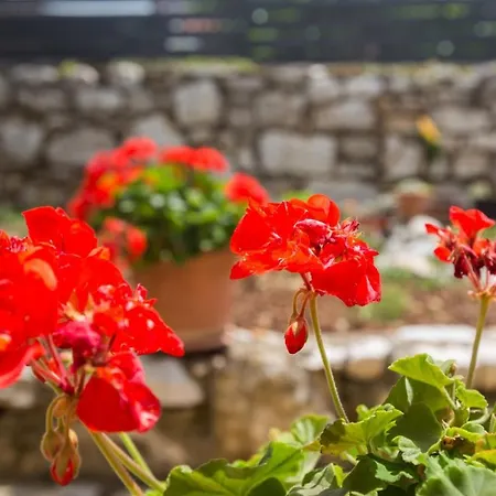 Laureta Apartament Poreč